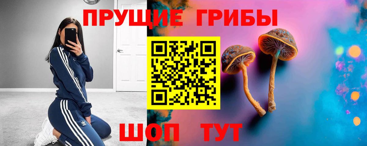 Тула  Галлюциногенные грибы мицелий  Вход с VPN  Галлюциногенные грибы Psilocybine cubensis 